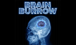 Brain Burrow podcast on the new york city podcast network