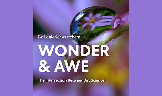 Wonder & Awe Podcast on the World Podcast Network and the NY City Podcast Network