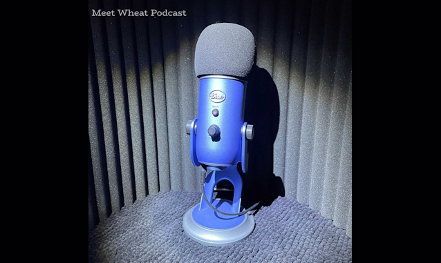 meet wheat podcast on the new york city podcast network